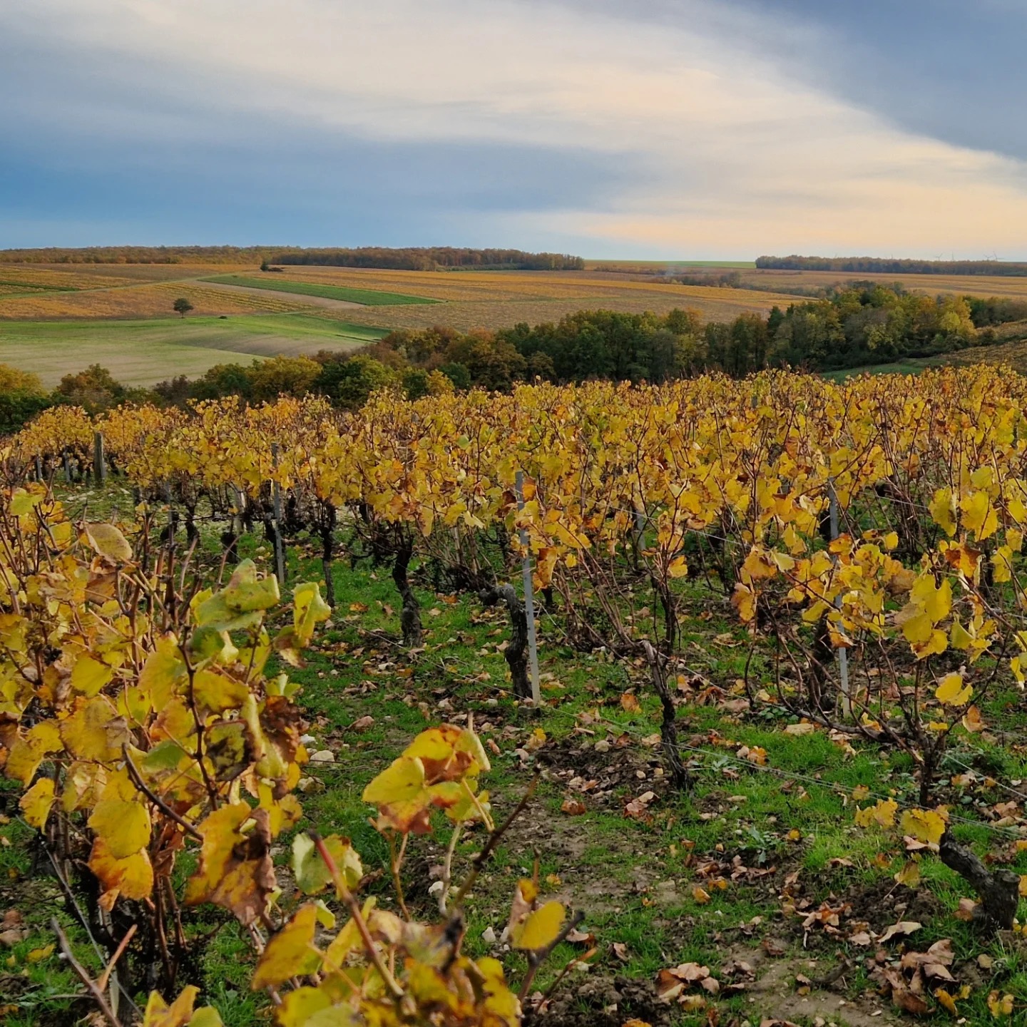 L'Automne