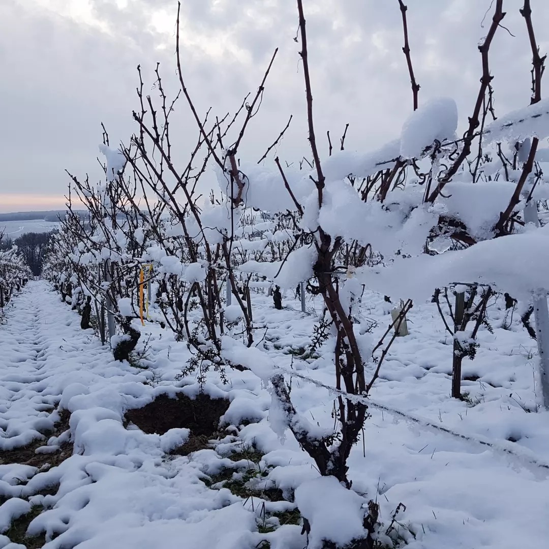 L'Hiver